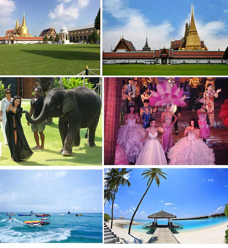 91视频色版下载91视频入口网站品牌