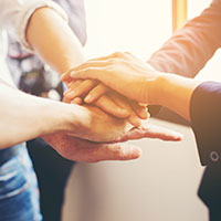 91视频入口网站加盟