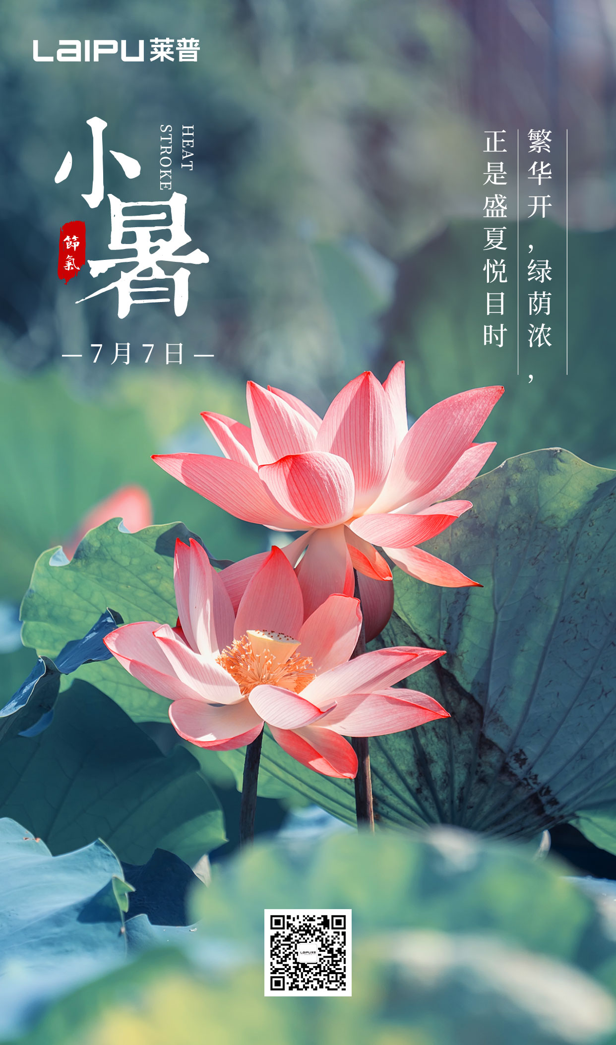 小暑丨小暑清和夏日長，91视频免费版污無煙風自涼