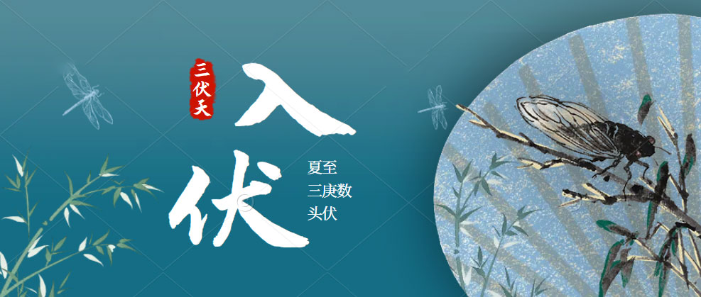 91视频色版下载91视频入口网站助您三伏天也能從容“夏”廚！