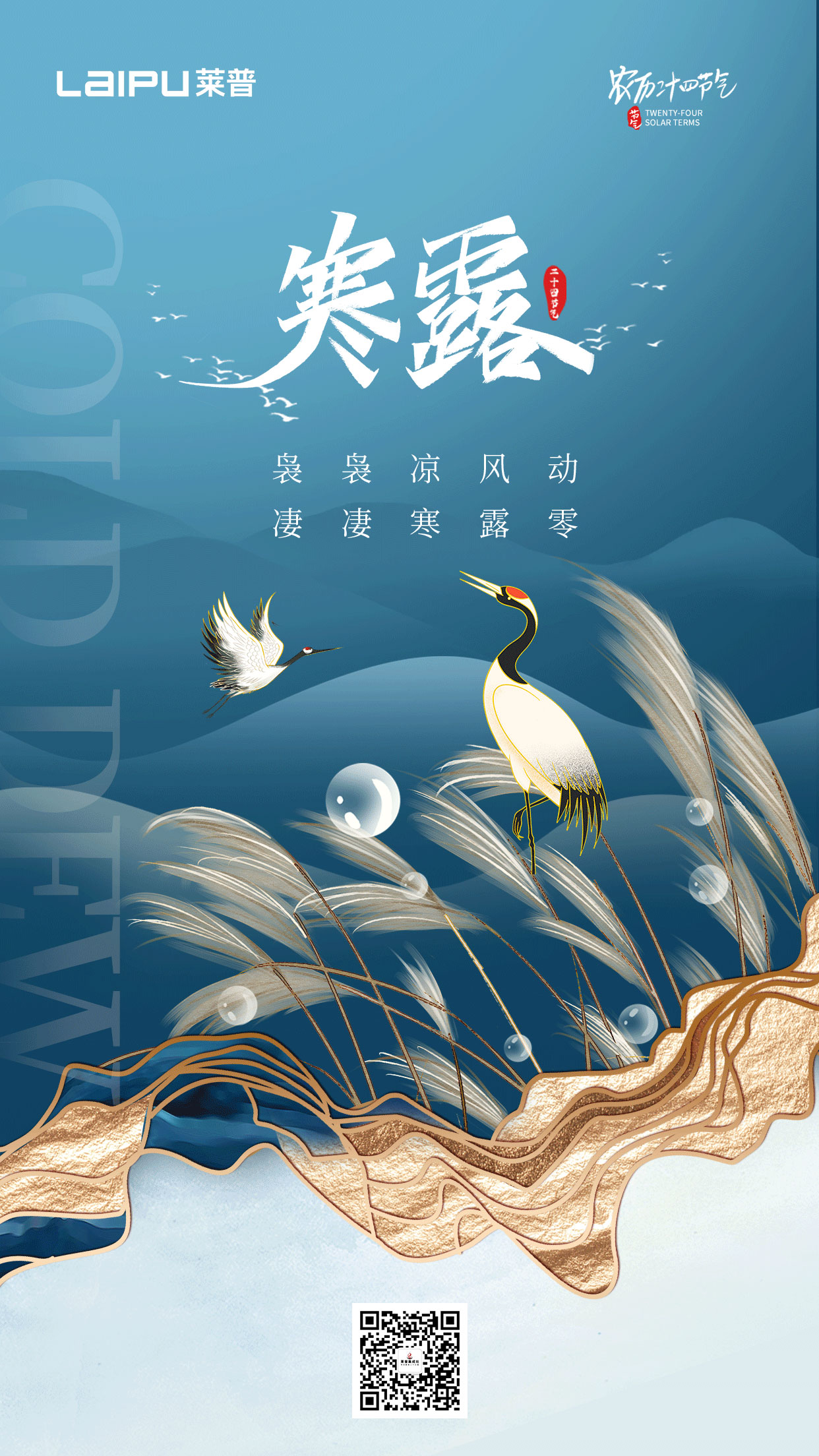 深秋漸至，寒露滿枝