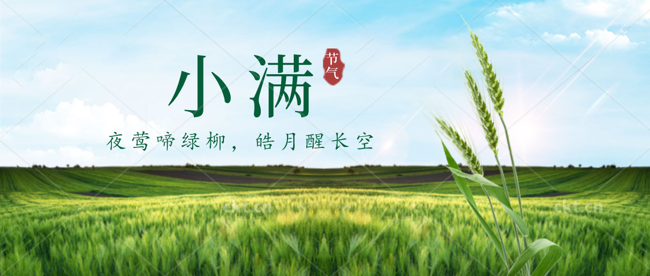 小滿已至，小得盈滿